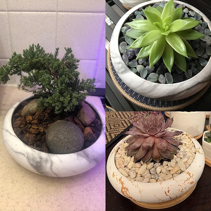 ARTKETTY Succulent Pots - 7.3 Inch Ceramic Bonsai Pots with Trays Set of 2, Large Succulent Plant Pots with Drainage Shallow Planters for Indoor Plants Marble Cactus Flower Plant Container Bowl
