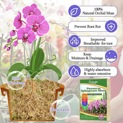 Legigo 5.3oz Natural Sphagnum Moss for Plants, 6QT Long Fiber Orchid Moss Potting Mix, Dried Sphagnum Moss for Plants Indoor, Orchid Repotting, Succulent, Carnivorous Plants, Terrarium and Reptiles