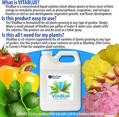 VitaBlue Complete B-Vitamin Supplement for Plants (32 oz) Vita Blue Quart | for All Plants & Gardens | Blue Planet Nutrients