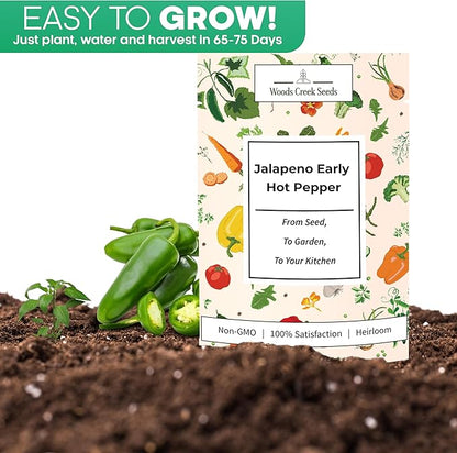 Early Jalapeño Pepper Seeds for Planting – Heirloom Non-GMO Hot Jalapeno Peppers for Home Gardens | Woods Creek Seeds