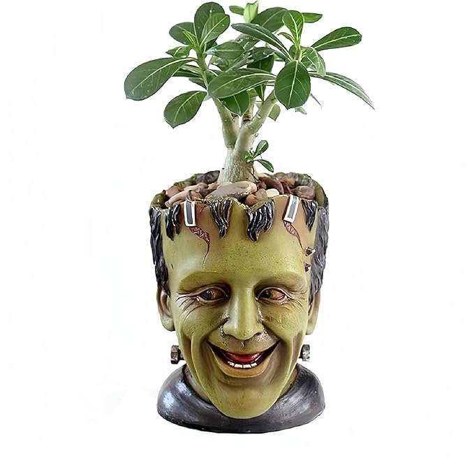 Funny Planter Head Planter Succulent Pot with Drainage Hole Fairy Garden Resin Cactus Plant Pot Pencil Holder Desk Storage Gift for Women Men(Frankstein)