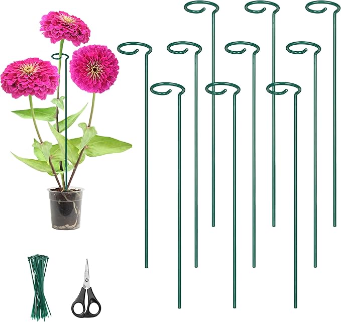Kingsyard 36 Inch Plant Support Stake - 10 Pack, 4.5mm Thick All Metal Garden Plant Support Stakes for Indoor Plants Single Stem Flowers Dahlia Lily Rose Peony Hydrangea Tomatoes Sunflower Gladiolus