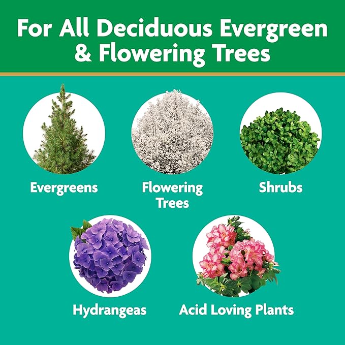 Miracle-Gro Tree and Shrub Plant Food Spikes - Deciduous, Flowering & Evergreen Tree Fertilizer Spikes, Hydrangeas, and Acid-Loving Plants, 12 Count, 3 lb.