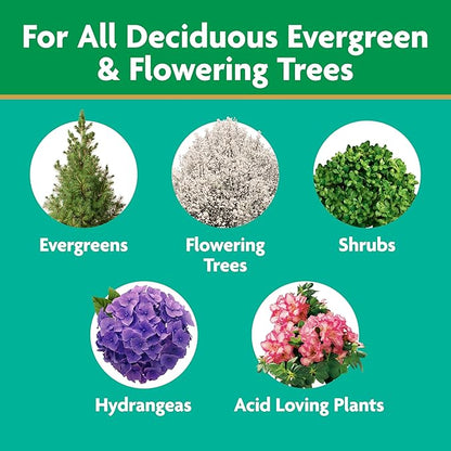 Miracle-Gro Tree and Shrub Plant Food Spikes - Deciduous, Flowering & Evergreen Tree Fertilizer Spikes, Hydrangeas, and Acid-Loving Plants, 12 Count, 3 lb.