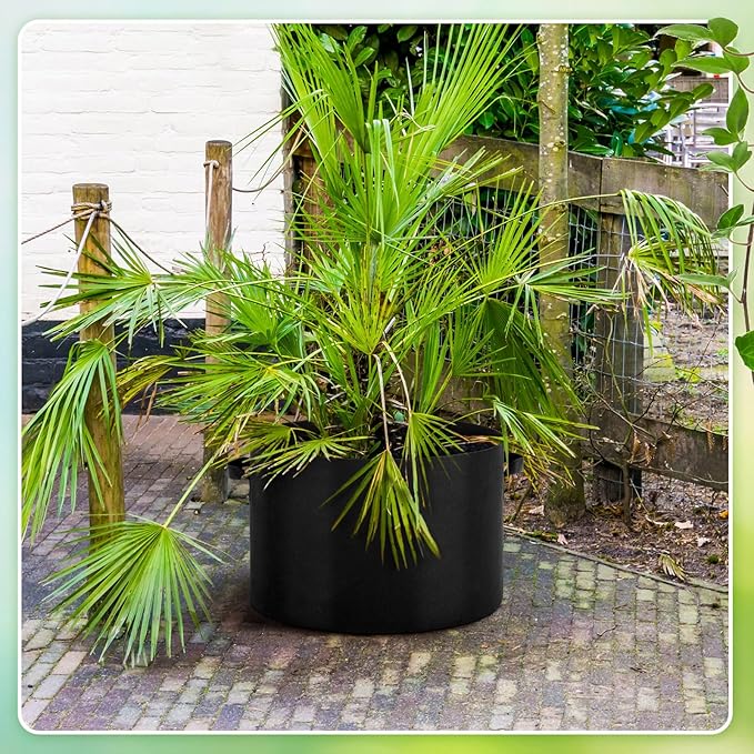 10 Pack Plant Grow Bags 15 Gallon 5 Gallon 3 Gallon Heavy Duty 300g Thickened Nonwoven Aeration Fabric Pots with Handles for Garden Indoor & Outdoor Planting, Moisture Retaining