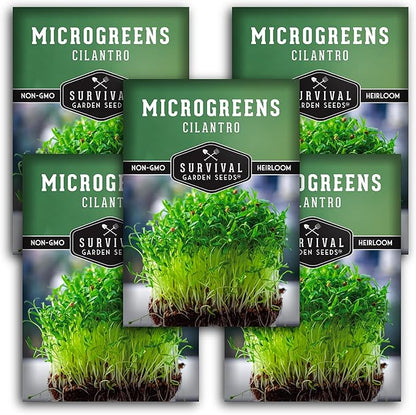 Cilantro Microgreen Seeds for Planting – Non-GMO Heirloom Cilantro Seeds to Grow Fresh, Flavorful Microgreens – Indoors or Hydroponic – Fast Germination– Survival Garden Seeds (53 Packs)