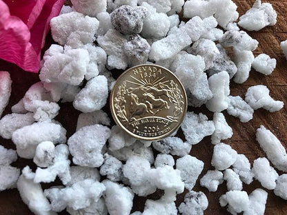 Exxxpanded Perlite #3 - (8QTS) Coarse, Hydroponic Grow Media and Soil Amendment