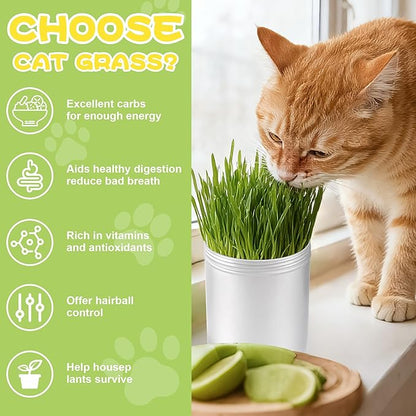 4 Pack Cat Grass Seeds Kit for Indoor Cats, Beginner Friendly Easy Grow Cat Grass Growing Kit, Fast Germinating, Natural Hairball Control, Safe Chewing Grass for Cats & Kittens
