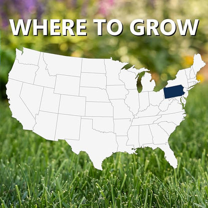 Jonathan Green (10360) Black Beauty Keystone PA Grass Seed (Made for Pennsylvania) - Cool Season Lawn Seed (3 lb)