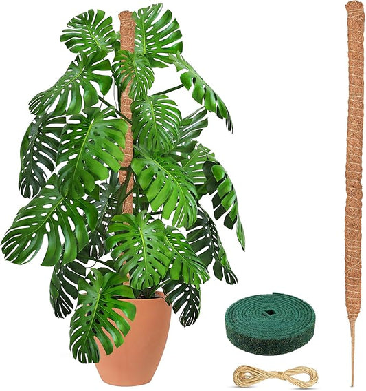 EcoNour Tall Moss Pole for Plants (1-Pack) 48-Inch | Large Monstera Plant Support for Climbing and Growth | Elevate Your Indoor Garden | Tall Plant Support for Indoor Potted Plants to Grow Upwards