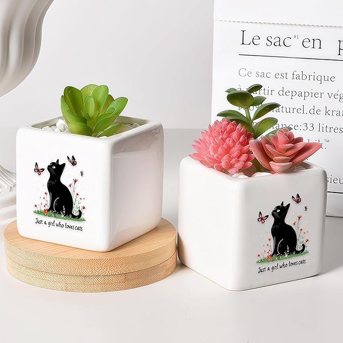 Black Cat Succulent Planter Flower Plant Pot Small, Gifts for Women Teens Girls Kids, Cat Lovers Themed Stuff Accessories Things Decor Merch, Home Office Table Desk Decoration!