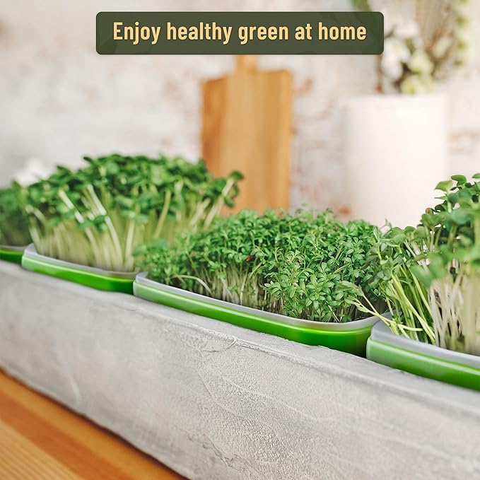 Pack 6 of Seed Sprouter Tray with Drain Holes,Seed Germination Tray Kit BPA Free Nursery,Soil-Free Wheatgrass Sprouter Microgreens Growing Kit (Green-6 Pack)