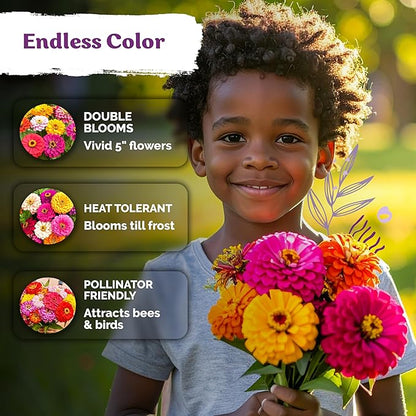 KVITER 550 Dahlia Zinnia Seeds for 2026 Mix (Zinnia Elegans) – Double Blooms, Non GMO, Heirloom & Organic – Flower seeds for Planting Outdoors in Garden, Containers, Flower Beds. Ideal for Cut Flowers