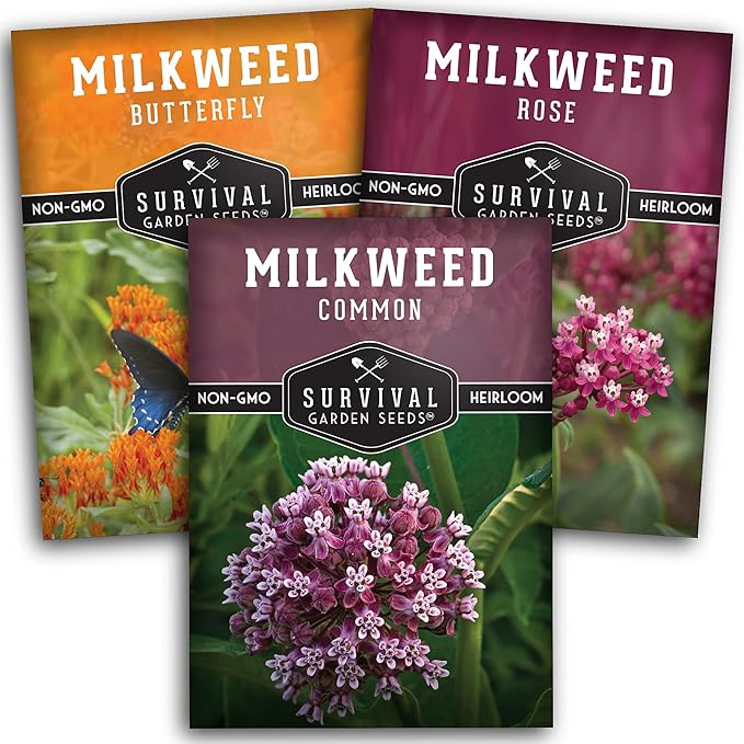 Survival Garden Seeds Milkweed Collection Seed Vault – Butterfly, Common & Rose (Swamp) Milkweed for Monarchs – Non-GMO Heirloom Seeds for Planting & Growing in a Pollinator Garden