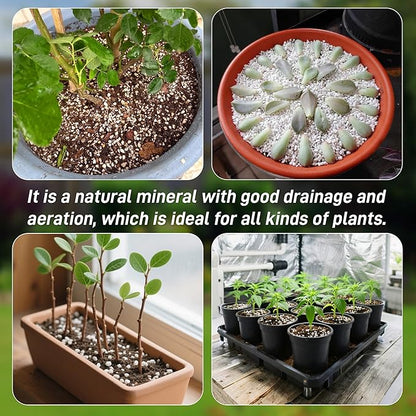 3 Quarts Perlite for Plant Soil - Amendment for Potting Soil, Improves Drainage and Aeration for Soil,Better for Root Growth (1/4 inch)