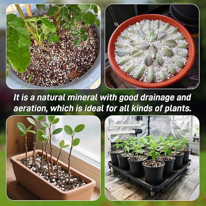 18 Quarts Perlite for Plant Soil - Amendment for Potting Soil, Improves Drainage and Aeration for Soil,Better for Root Growth (1/4 inch)