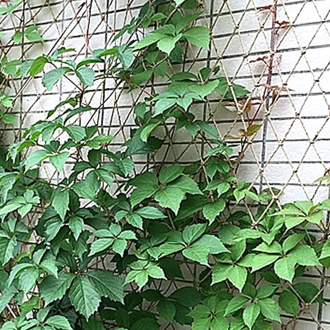 Garden Plant Climbing Net, Jute Plant Support Netting Jute Garden Netting for Plants Natural Garden Trellis Twine Net for Pea Bean Climbing Vegetable 39x197 Inch.