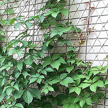 Garden Plant Climbing Net, Jute Plant Support Netting Jute Garden Netting for Plants Natural Garden Trellis Twine Net for Pea Bean Climbing Vegetable 39x197 Inch.