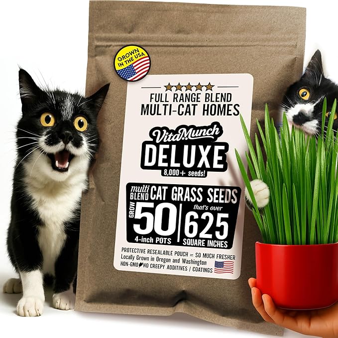 Cat Grass Seed Deluxe Non-GMO Blend Cats Love + Grows 50 Pots (Over 620 Sq in) Ready in 5 Days + Full Range of Tastes/Textures That More Cats Will Love for Indoor Cats–8000+ Seeds