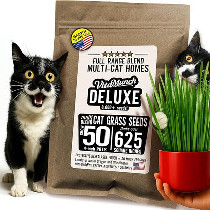 Cat Grass Seed Deluxe Non-GMO Blend Cats Love + Grows 50 Pots (Over 620 Sq in) Ready in 5 Days + Full Range of Tastes/Textures That More Cats Will Love for Indoor Cats–8000+ Seeds