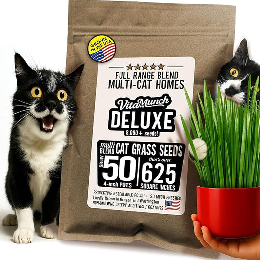 Cat Grass Seed Deluxe Non-GMO Blend Cats Love + Grows 50 Pots (Over 620 Sq in) Ready in 5 Days + Full Range of Tastes/Textures That More Cats Will Love for Indoor Cats–8000+ Seeds