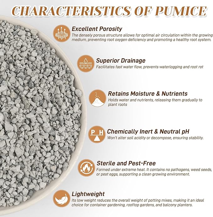 Horticultural Pumice for Plants, 3 Quarts Bag （4.4IB） Natural Soil Amendment, 1/4" Particle Size for Succulent, Cactus, Bonsai Tree, Orchid Potting Mix