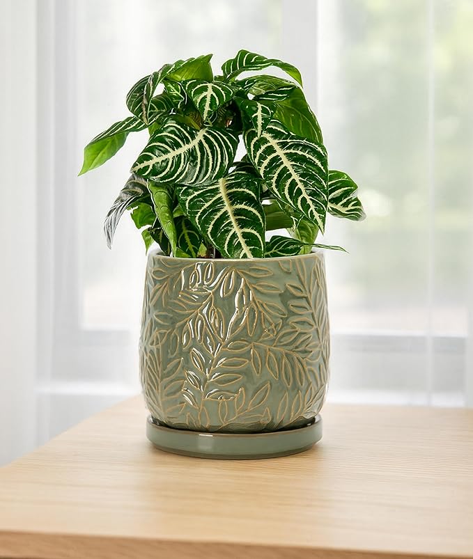D'vine Dev 6 Inch Embossed Leaves Stoneware Planter Pot with Drainage Hole and Saucer, Olive, 27-A-X-0