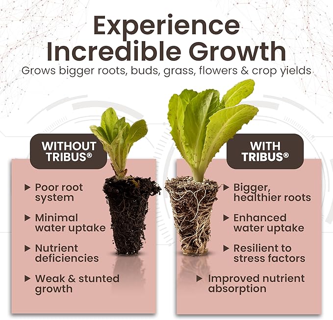 Tribus Organic Microbial Inoculant | Root Booster for Plants, Increases Plant Yield, Root Growth, Flower & Fruit Quality | Visible Root Growth in 24Hrs | Pet & Planet-Safe | Made in The USA | 8.5oz