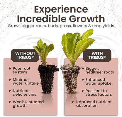 Tribus Organic Microbial Inoculant | Root Booster for Plants, Increases Plant Yield, Root Growth, Flower & Fruit Quality | Visible Root Growth in 24Hrs | Pet & Planet-Safe | Made in The USA | 8.5oz
