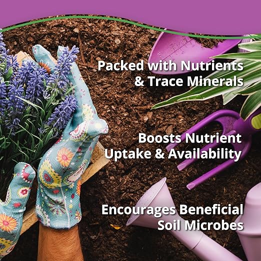 Kelp Bliss Fertilizer (1lb) - Kelp Meal Organic Fertilizer - Kelp Fertilizer for Plants - Plant Fertilizer & Garden Fertilizer - Organic Kelp Meal for Potting Soil, Garden Soil, Vegetables, & Lawns