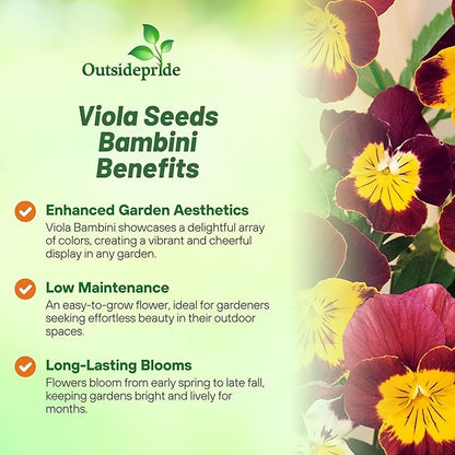 Outsidepride Bambini Mix Viola Pansy Seeds for Planting - 1000 Pcs. Perennial, Cold-Hardy & Pollinator Friendly Flowers with Fragrant Blooms for Garden Beds, Borders & Container Displays
