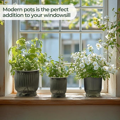 T4U 6 Inch Self Watering Pots for Indoor Plants, 4 Pack Self Watering Planter, Self Watering Pot with Reservoir, Small Self Watering Pots for Plants, African Violets (4 Pack, 6", Translucent Gray)