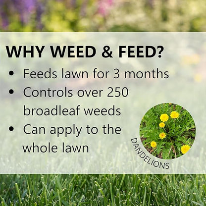 Jonathan Green (12344) Green-Up Weed & Feed - 21-0-3 Grass Fertilizer & Weed Killer (5,000 Sq. Ft.)