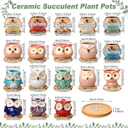 Cindeer 18 Pcs 2.5 Inch Owl Ceramic Succulent Planter Pots Mini Small Ceramic Pots with Drainage Hole and Bamboo Tray for Succulents Glaze Cactus for Home Garden Office Desk Decoration Gift Ideas