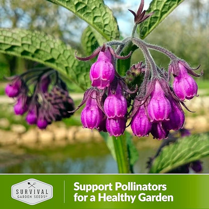 Comfrey Seeds for Planting - Symphytum Officinale Medicinal Perennial Herb for Compost Tea & Natural Skincare - True Slippery Root Non-GMO Heirloom - Survival Garden Seeds (5 Pack)