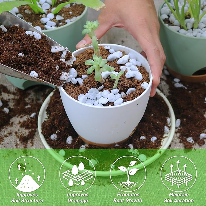 3 Quarts Perlite for Plant Soil - Amendment for Potting Soil, Improves Drainage and Aeration for Soil,Better for Root Growth (1/4 inch)