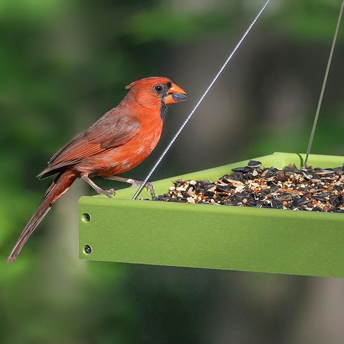 Audubon Park Songbird Supreme Wild Bird Seed for Outside Feeders, 15-lb. Bag