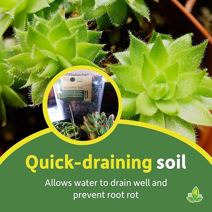 Josh's Frogs Succulent Soil (1 Quart)
