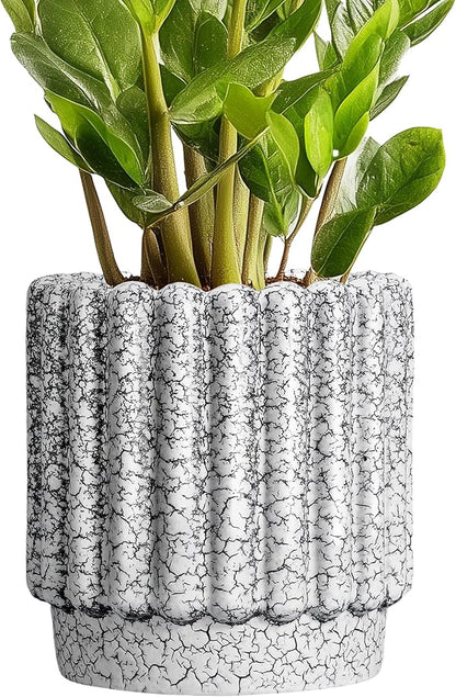 Ceramic Pots for Plants - 7.6 Inch Ceramic Planter with Drainage Hole, Round Flower Pots for Indoor Plants, Fluted Planter Outdoor, Garden Decor, Birthday Gifts, Black and White