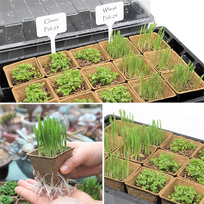 Seed Starter Kit with 100 Peat Pots for Seedlings Seed Starter Tray, Including 100 Square Biodegradable Seed Starter Pods, 5 Plastic Growing Trays with Water Strainer& 20 Plant Labels