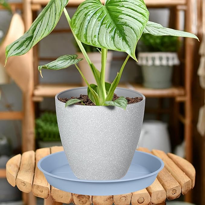 6 Pack of Plant Saucer Tray 7 8 inch, Heavy Duty Plastic Pot Plant Drip Trays Saucers for for Indoors Outdoor, Plant Water Tray for Planters 7-9" (8", Light Gray)