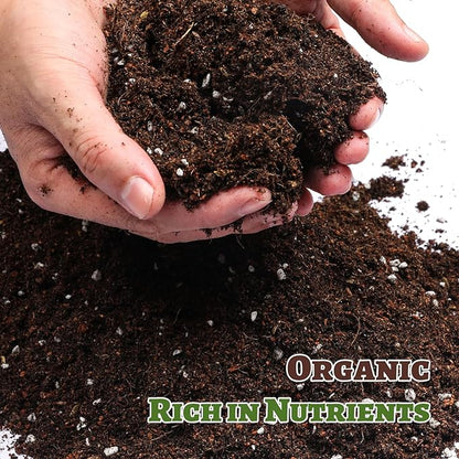 Organic Strawberry Soil Mix 10qt, Indoor Plants Potting Mix for All Potted Strawberry, Grow Healthy houseplants Indoors