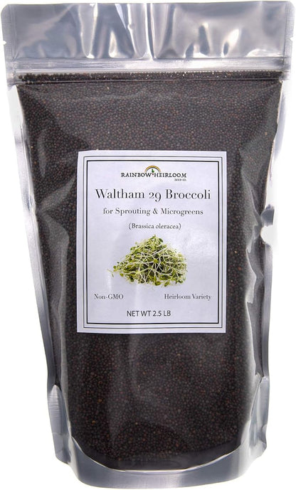 Broccoli Seeds for Sprouting & Microgreens | Waltham 29 Variety | Non GMO & Heirloom Seeds | Bulk 2.5 LB (40 oz) Resealable Bag | Rainbow Heirloom Seed Co.