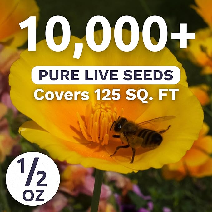 California Poppy – Formula Mix – Large 1/2 Ounce Seed Packet – 10,000 Flower Seeds for Planting – Eschscholzia californica
