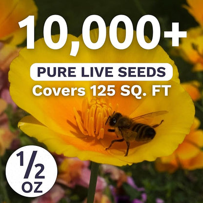 California Poppy – Formula Mix – Large 1/2 Ounce Seed Packet – 10,000 Flower Seeds for Planting – Eschscholzia californica