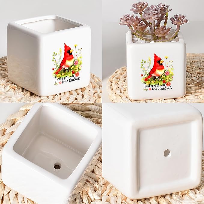 Cardinal Succulent Planter Flower Plant Pot Small, Gifts for Women Teens Girls Kids, Cardinal Lovers Themed Stuff Accessories Things Decor Merch, Home Office Table Desk Decoration!