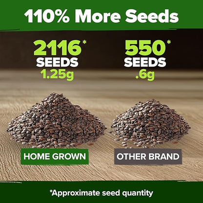 HOME GROWN Non GMO Catnip Seeds (Bulk Pack) Heirloom Herb 2,116 Seeds - Indoor or Outdoor Seed - High-Germination Cat Nip - Cat Safe Plants (Nepeta cataria)