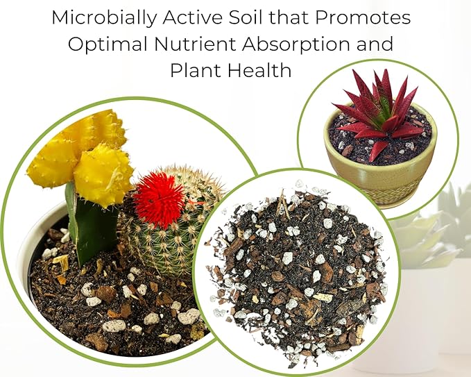 Succulent and Cacti Soil, Organic. 5lb Bag with Biochar, Mycorrhizae, Pumice Stone, Pine Bark Fines, and Silica Sand. for Cactus, Palm, Succulent, and All Other Desert Plants.