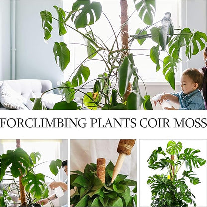 Moss Pole, Augshy 48 Inch Moss Poles - 4Pcs 12 Inch Coir Totem Poles Moss Climbing Sticks for Indoor Creepers Plant Support Extension