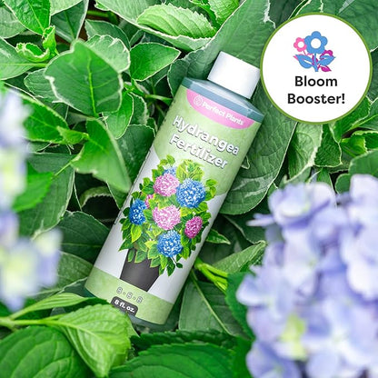 Premium Liquid Hydrangea Fertilizer by Perfect Plants | Bloom Booster | Fertilizer for Hydrangeas and Other Flowering Plants (8 fl oz)